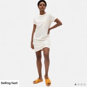 Everlane The Weekend Tee Dress